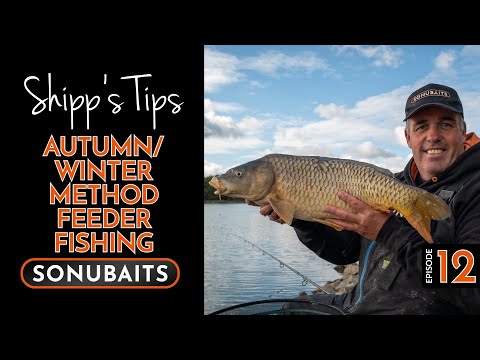 SHIPP'S TIPS - EPISODE 12 - Autumn/Winter Method Feeder Fishing