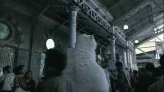 preview picture of video 'Frostbite the Performing Polar Bear in a Halls TVC'