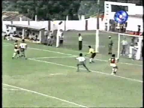 GREMIO SANTANENSE, FABIO DE LOS SANTOS