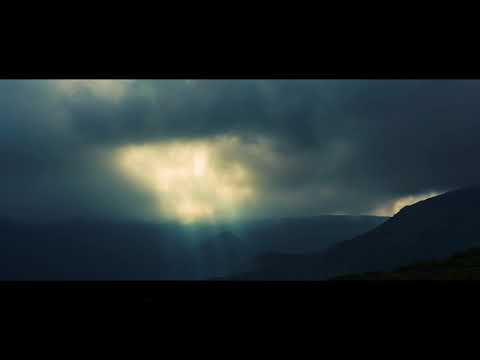 MR TRAUMATIK - HIGHER SECTOR - OUT NOW !