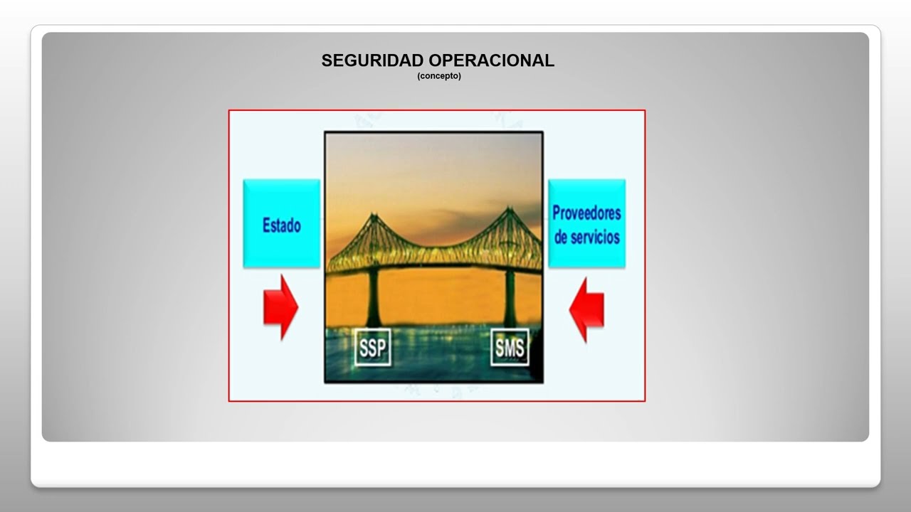 SMS (Significado, enfoques y evolución)