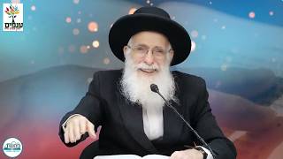 מה יקרה מול איראן? | הרב יהודה יוספי | פרשת יתרו (ארגון ענפים) - התמונה מוצגת ישירות מתוך אתר האינטרנט יוטיוב. זכויות היוצרים בתמונה שייכות ליוצרה. קישור קרדיט למקור התוכן נמצא בתוך דף הסרטון