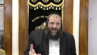 איפה היה אלוקים בדור הפלגה? לך לך - אל תוך עצמך. השאלות והתובנות של אברהם אבינו - מי השילוח איזביצה