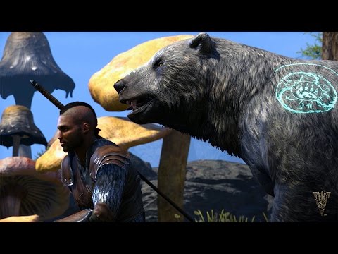 Morrowind Warden Gameplay Trailer