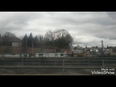 TTC Orion VII 2013 on Route 109 Ranee