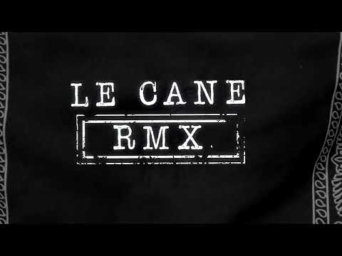 MUTİ - LE CANE 'RMX, feat. MURDA x SUMMER CEM (Lyric Video)