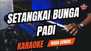 Download lagu SETANGKAI BUNGA PADI KARAOKE NADA COWOK PRIA Key G mp3 Download lagu SETANGKAI BUNGA PADI KARAOKE NADA COWOK PRIA Key G mp3