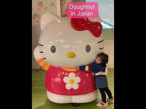 Doughnut in Japan 3Y2M