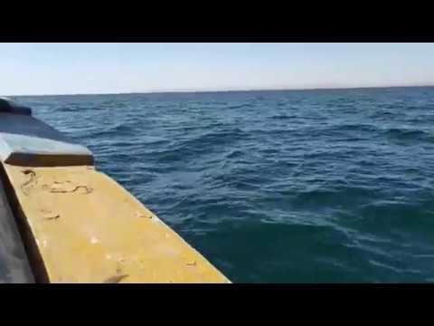 #ADayWithPALS - Boat Ride to French Beach, December 2018 | Ifrah Waqar