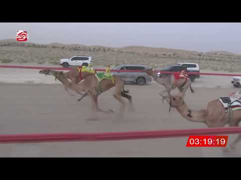 ش 1 (رونق) لـ عبدالله عبيد بن عيد المنصوري 6:40 ، شارة الشيخ طحنون 2026/8/23 لقايا الخزنة