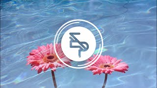 Tourist - We Stayed Up All Night (feat. Ardyn)