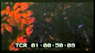 ...Nevermore Raw Teaser Video by ...Nevermore - Myspace Video.flv