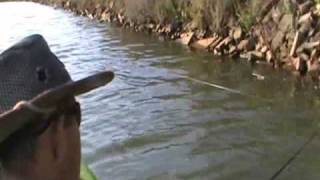 BASS TAKEN FROM KAYAK