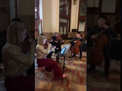 Promotional video thumbnail 1 for Rhose Studio Strings