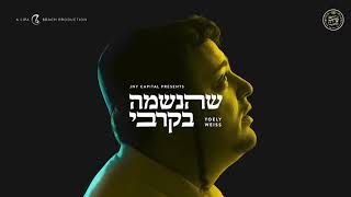 Yoely Weiss - Shehaneshomo B'Kirbi - Single | יואלי ווייס - שהנשמה בקרבי