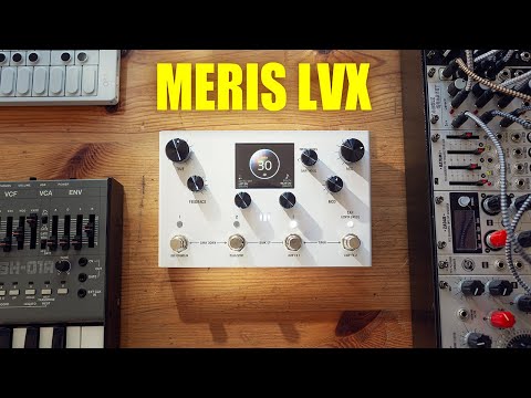 Meris LVX Modular Delay 10th Anniversary by Meris | RockBoard