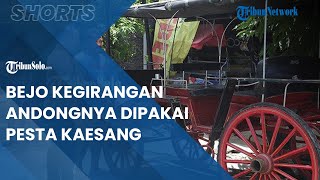 Bejo, Pengusaha Andong Kegirangan Andongnya Dipercaya untuk Antar Tamu di Pernikahan Kaesang