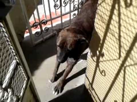 La Soki estirandose xD.mp4