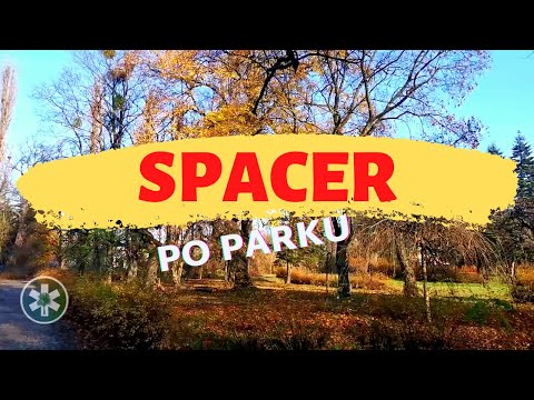 Spacer po parku. Park Ludowy im. Wincentego Witosa w Bydgoszczy