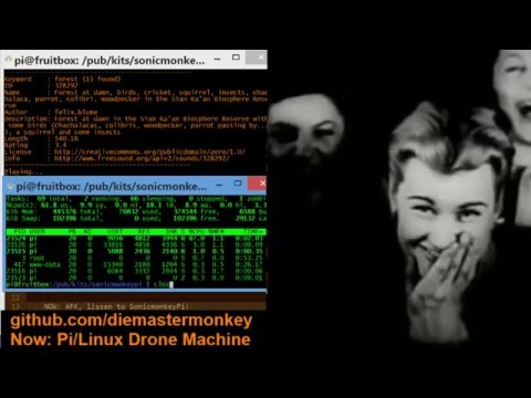 Replay: Rapberry Pi/Linux Drone Ambiance Generator Testing and Development