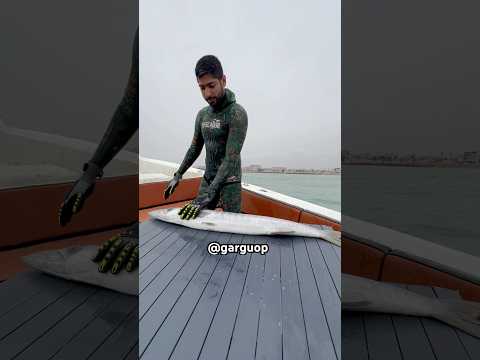Filleting a barracuda in the middle of the Persian Gulf, Iran🇮🇷