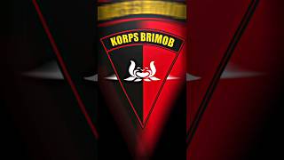 Download lagu STORY WA VIRAL DITIKTOK VERSI KORPS BRIMOB mp3 Download lagu STORY WA VIRAL DITIKTOK VERSI KORPS BRIMOB mp3
