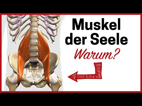 Why the psoas muscle is so important for your well-being...