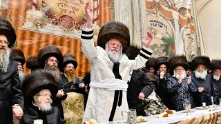 שמחת החתונה בחצרות פרימישלאן - שאץ וויזניץ - ליטשיק | Wedding of Premishlan-Shotz Viznitz-Litshik