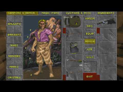 When a Skyrim player tries Daggerfall for the first time