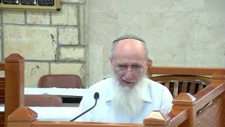 השבת אבידה ותיקון הברית – שיעור 117 – ספר דברים