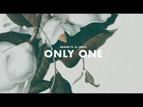 KRANE - Only One feat. B. Lewis (Lyric Video)