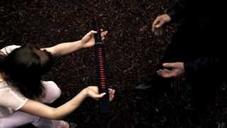 James Williamson And Carolyn Wonderland "Open Up and Bleed" video teaser