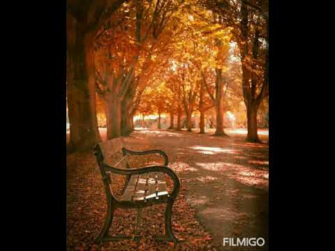 Maa Sunao Mujhe wo kahani