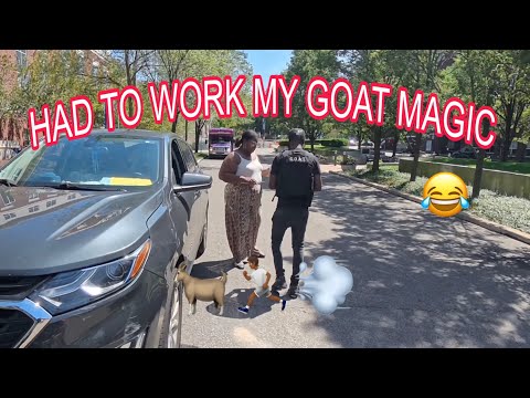 We got up out of there! (Repo)