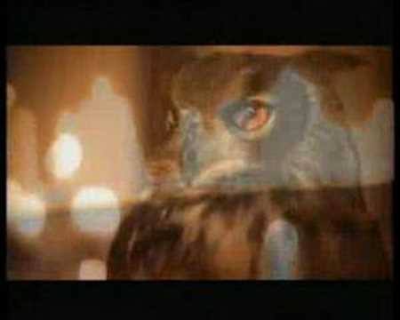 Alfonzo Hunter Week End Thang