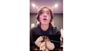 Download lagu HARUTO - 'VOLKNO' PERFOMANCE IN [KYCORE DOME OSAKA] REACTION mp3