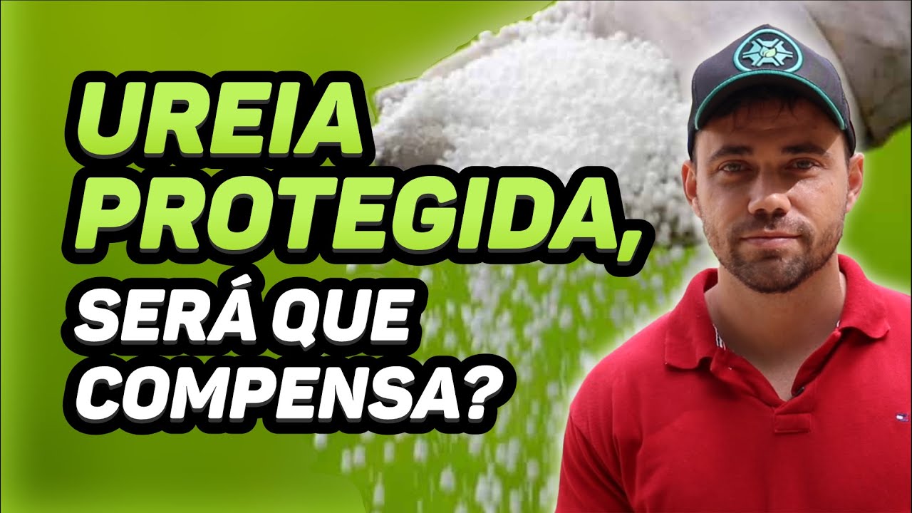 UREIA PROTEGIDA - O QUE É E QUANDO UTILIZAR | Série: Teoria na Prática #007