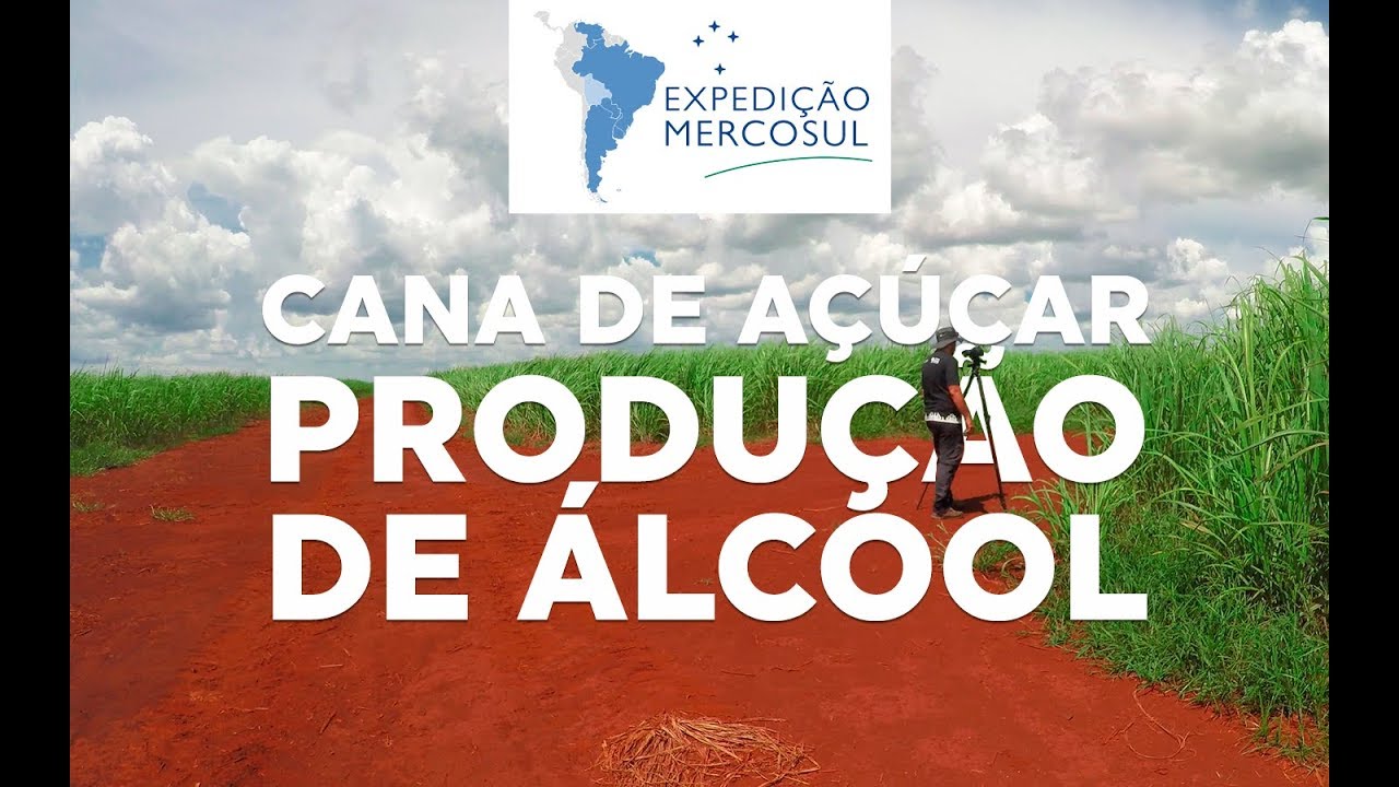 CANA-DE-AÇÚCAR e a produção do ETANOL - Expedição [#08]