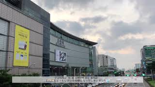 서울에 거주하는 일본인의 일상 브이로그 #2 여름 수원 여행 !! 수원카페 / 수원관광 / スウォン / 水原 / 韓国 / 韓国ワーホリ