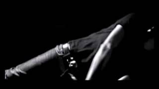 STILLRISE Angels Never Die