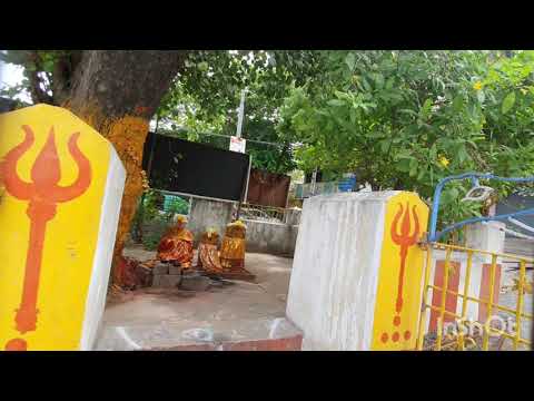 Sri Sampathkareeshwari Arasukatha Amman Temple Kanchipuram