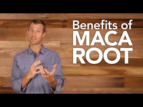 Benefits of Maca Root | Dr. Josh Axe