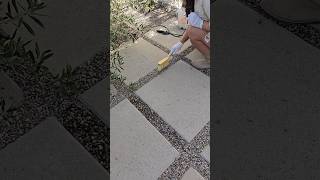 Patio Paver Pebbles × Mulch Glue #diyprojects #patiopaver #outdoorprojects
