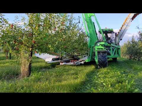 FRUMACO Shake and Catch Apple & Fruit Harvester / Cosechadora fruta / Apfelerntemaschine OE4