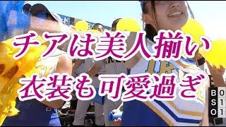 仙台育英はチアもユニフォームも可愛さ半端ない！甲子園2018夏