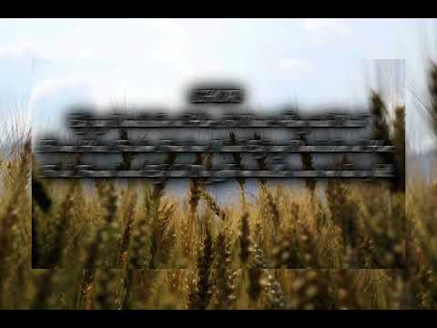 Ekj sag Dankescheen oh Harr.