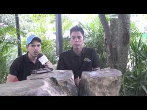 AFICION HIPICA TV DOMINGO 02 DE FEBRERO 2014