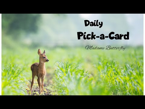 🎴🔮🌈🧁Daily Pick-a-Card Reading~ Monday 13th February 2023 (Timeless)