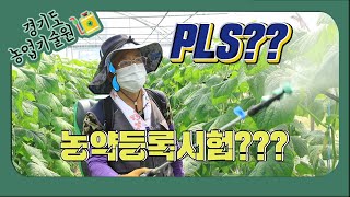[스토리가 있는 경기팜 07]  PLS 대응 소면적 작물 농약등록시험