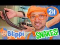 Blippi And Meekah Learn About Snakes 2 Hours Of Educational Videos For Kids And Families